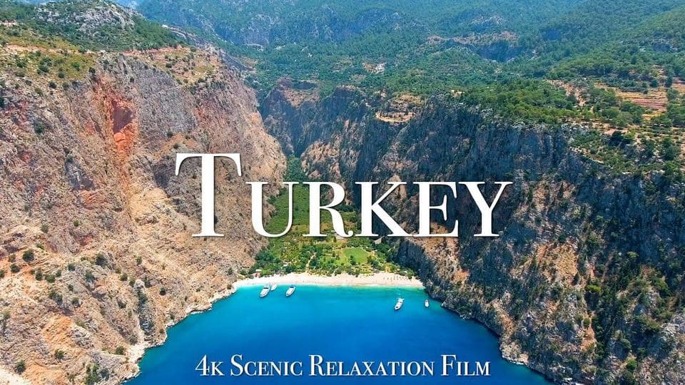 watchMovieAlt