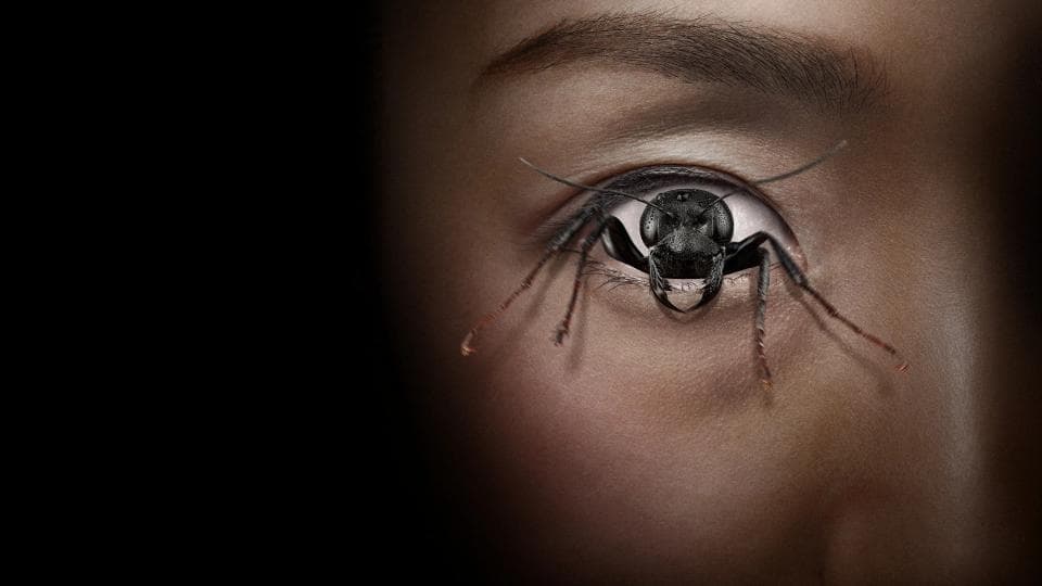 watchMovieAlt