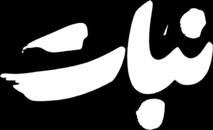 نبات