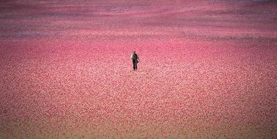 خانه ارواح - قسمت 1